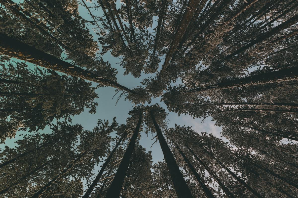 Earth Day, Every Day